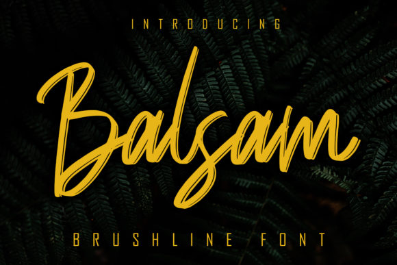 Balsam Font: Elevate Your Brand Identity