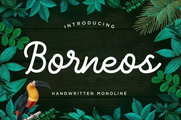Borneos Font: A Handwritten Typeface for Branding