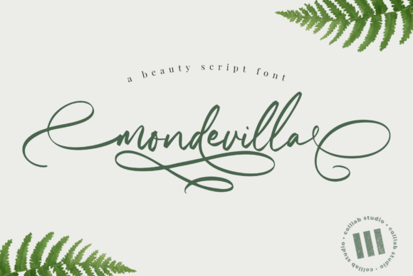 Mondevilla: A Graceful Script Font for Editorial Design