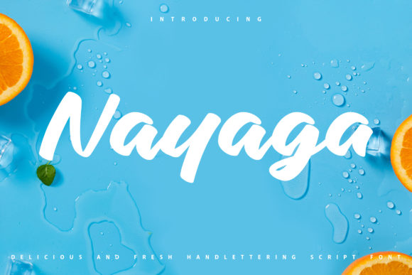 Nayaga Font: A Web Designer’s Review