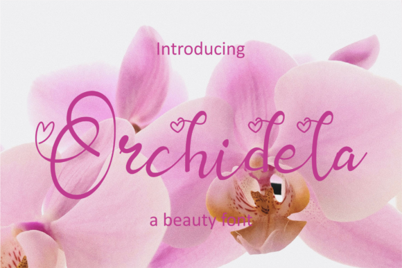 Orchidela: A Premium Script Font for Web Design