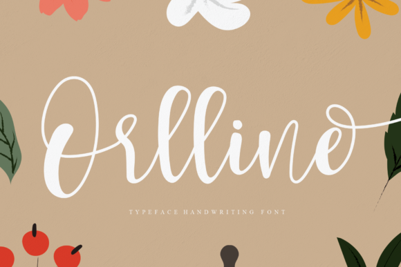 Orlline Font Review: A Delicate Script for Branding