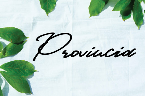 Provincia Font Review: Elevate Your Campaign Visuals